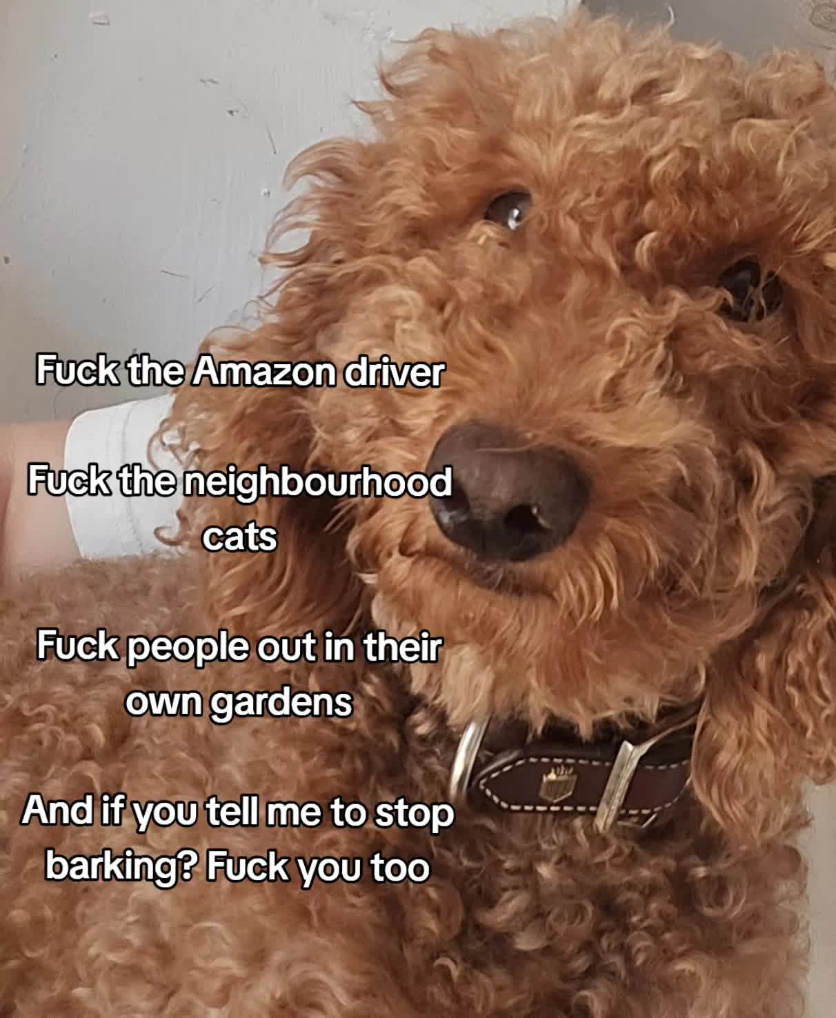 @Rebecca