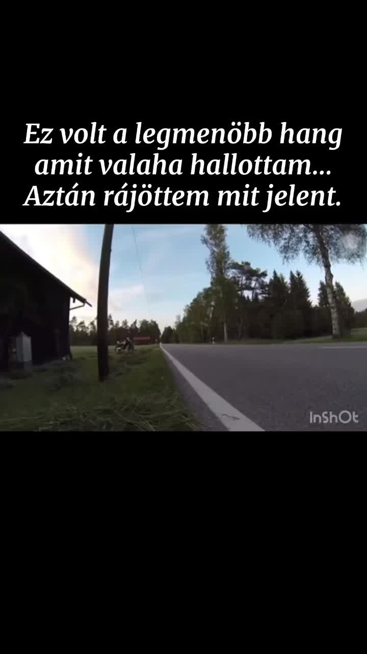 @Tivi🐺