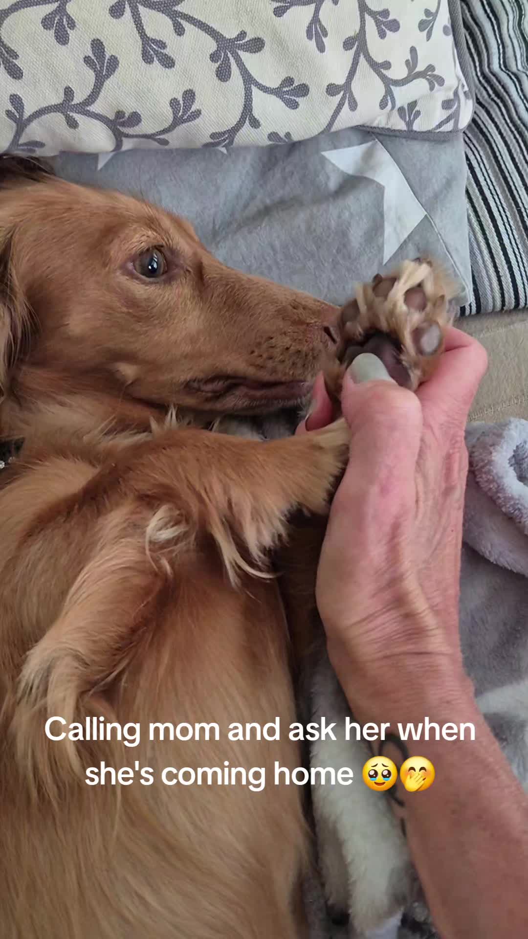 @Maria