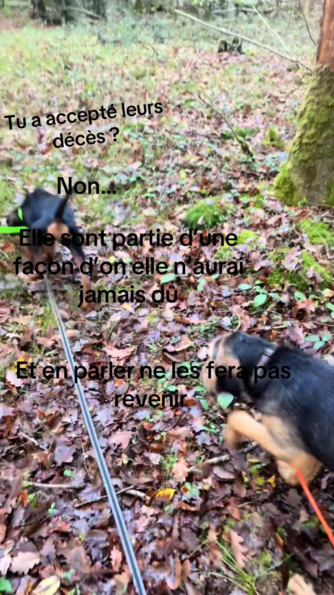 @Maxime Sugin