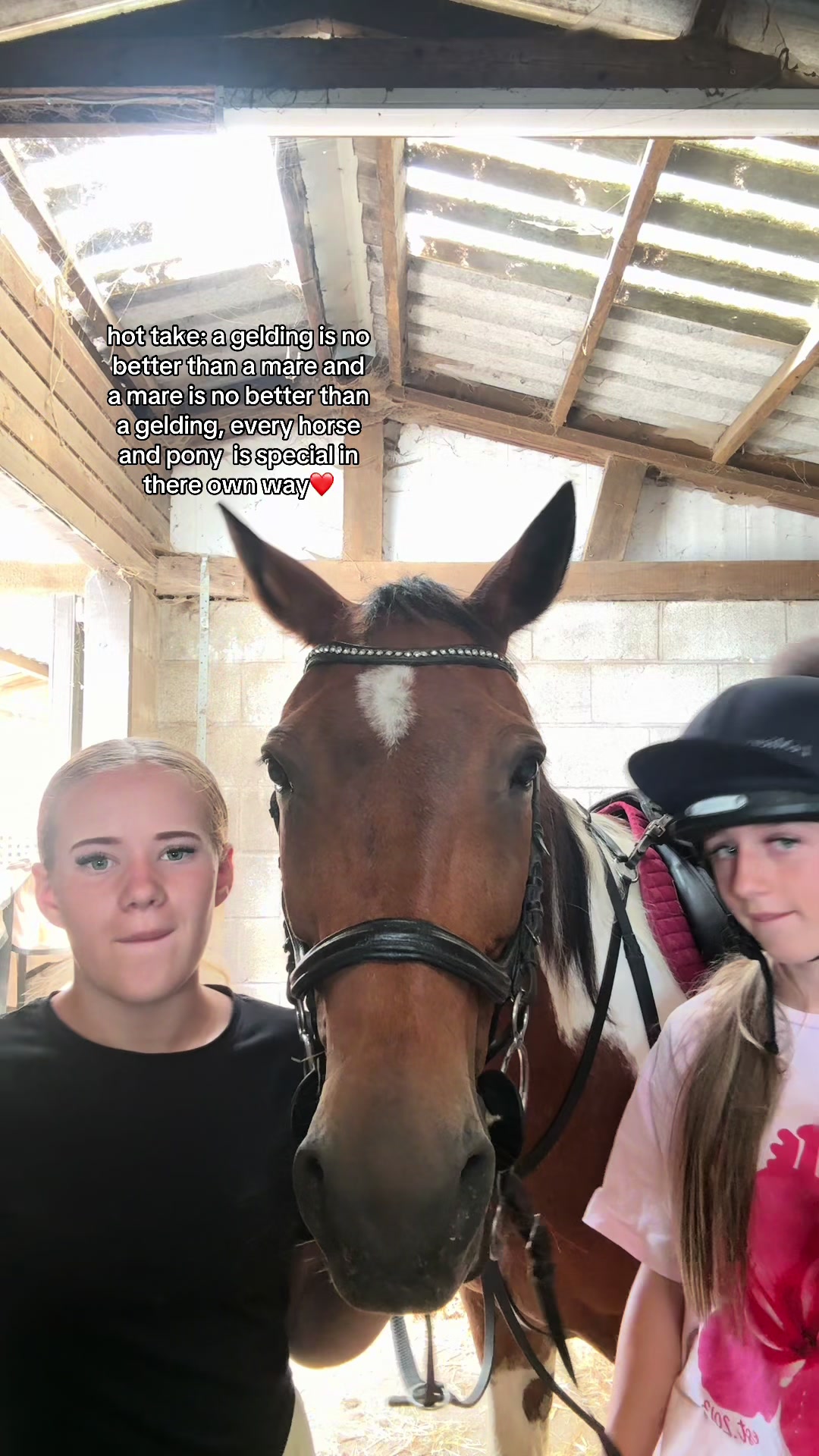 @poppy 🌾🐴 🇬🇧