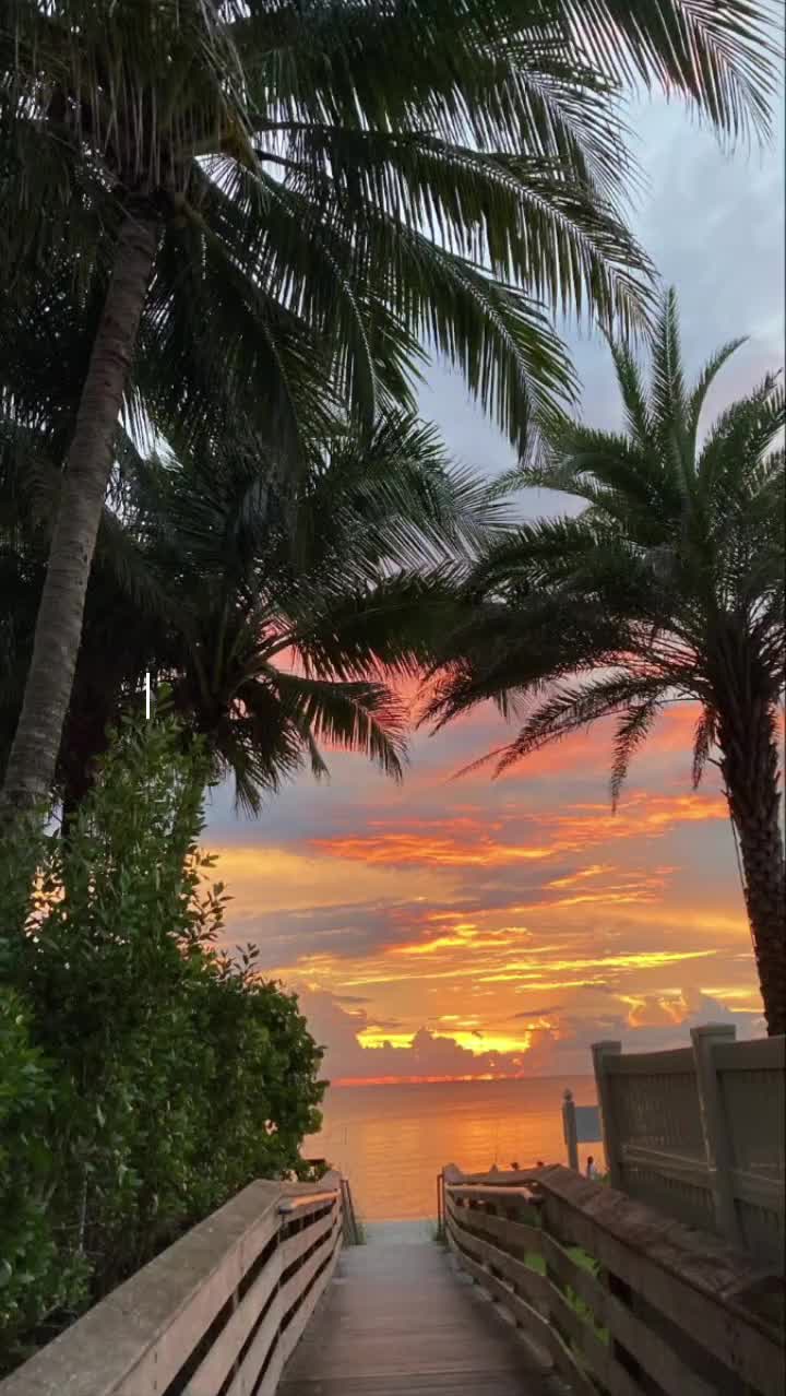 @Sky_angel🕊️