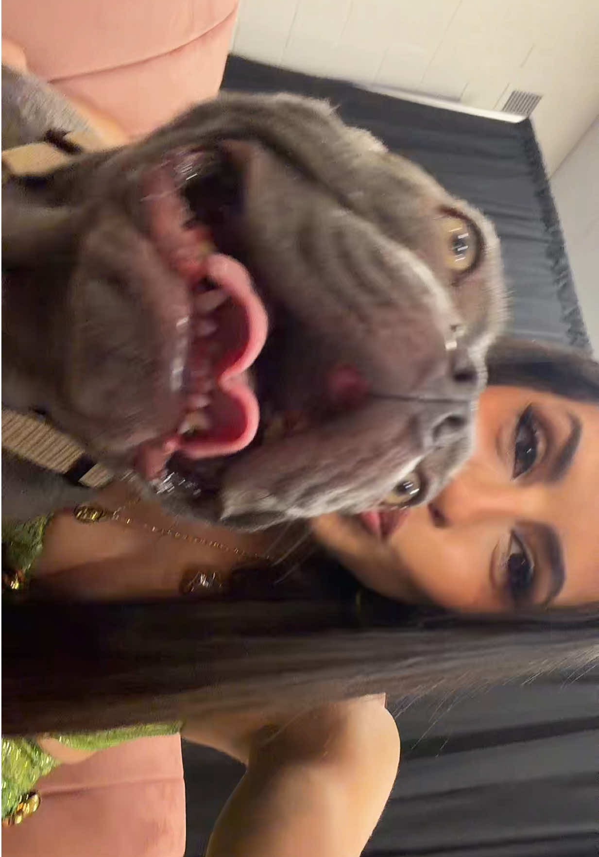 @Natalia Palomares