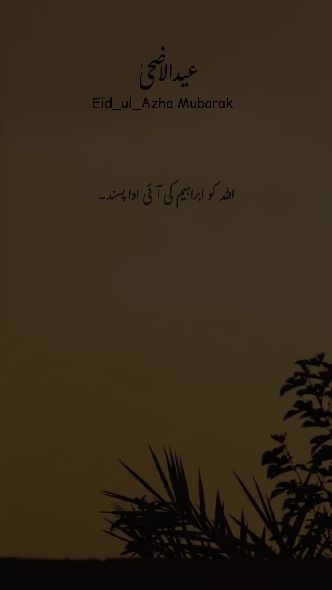 @𝐅𝐢𝐤𝐡𝐫𝐞-𝐃𝐞𝐞ن🫀