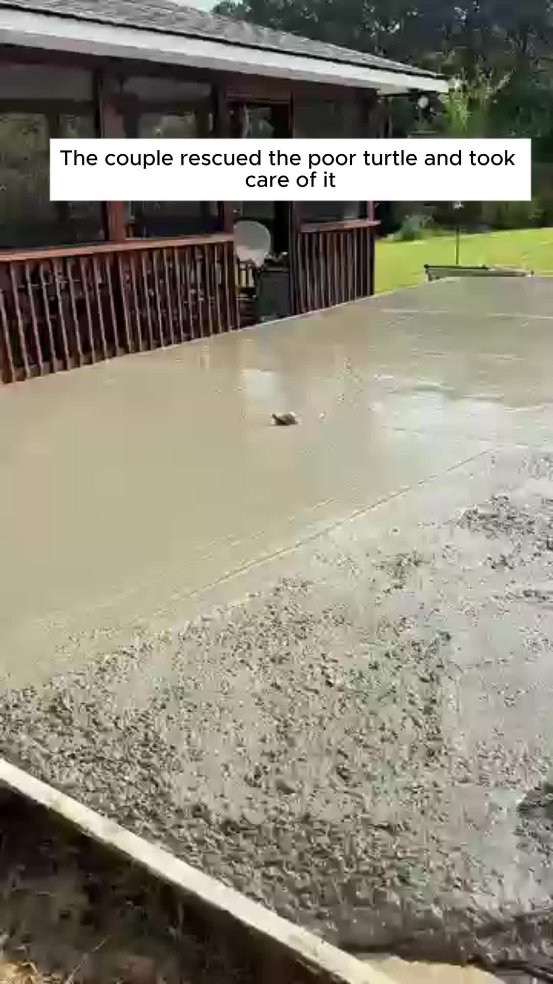 @amazingworld.55