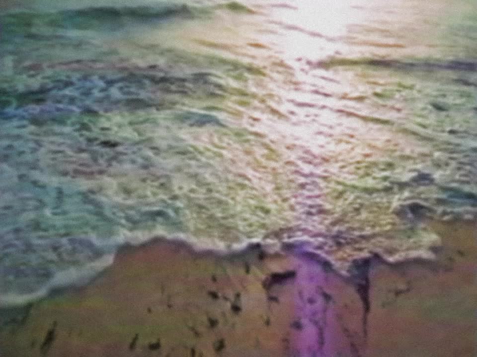 @♪𝘴𝘴𝘩𝘩𝘰𝘰𝘳𝘳𝘵𝘵𝘺𝘺♪