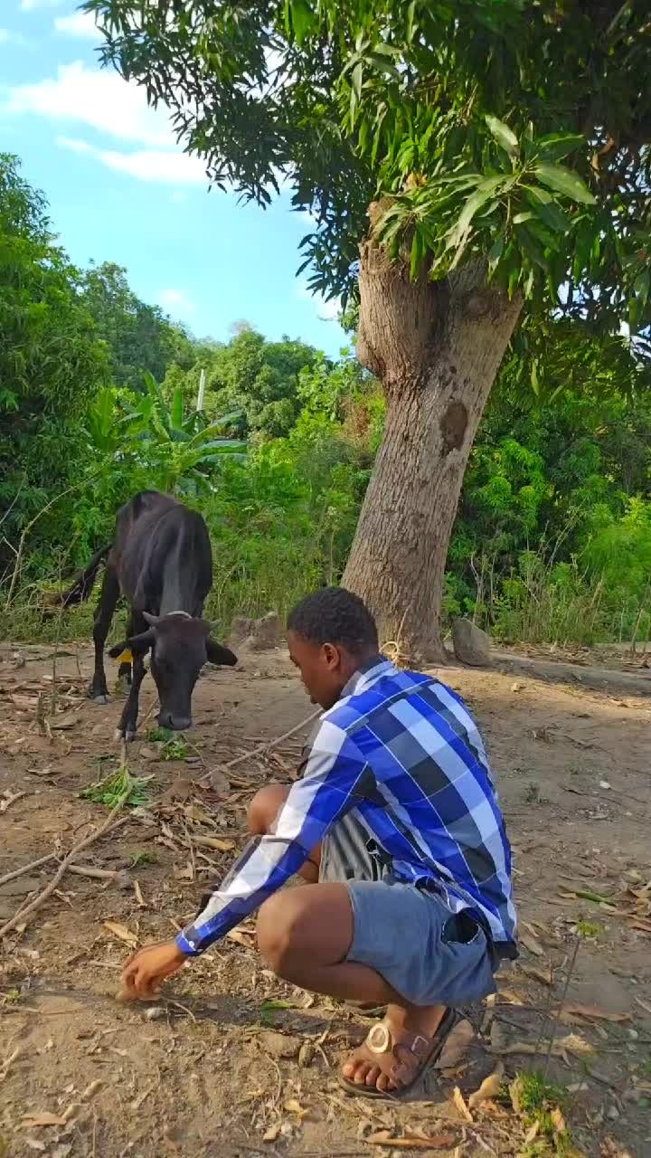 @PREZIDAN6 TICHOCHO