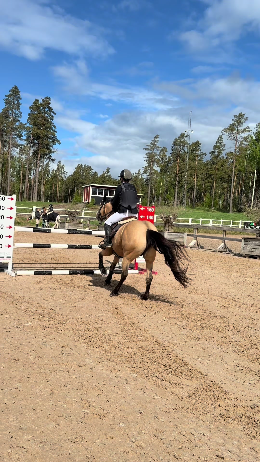 @🇸🇪Vira hult🇸🇪