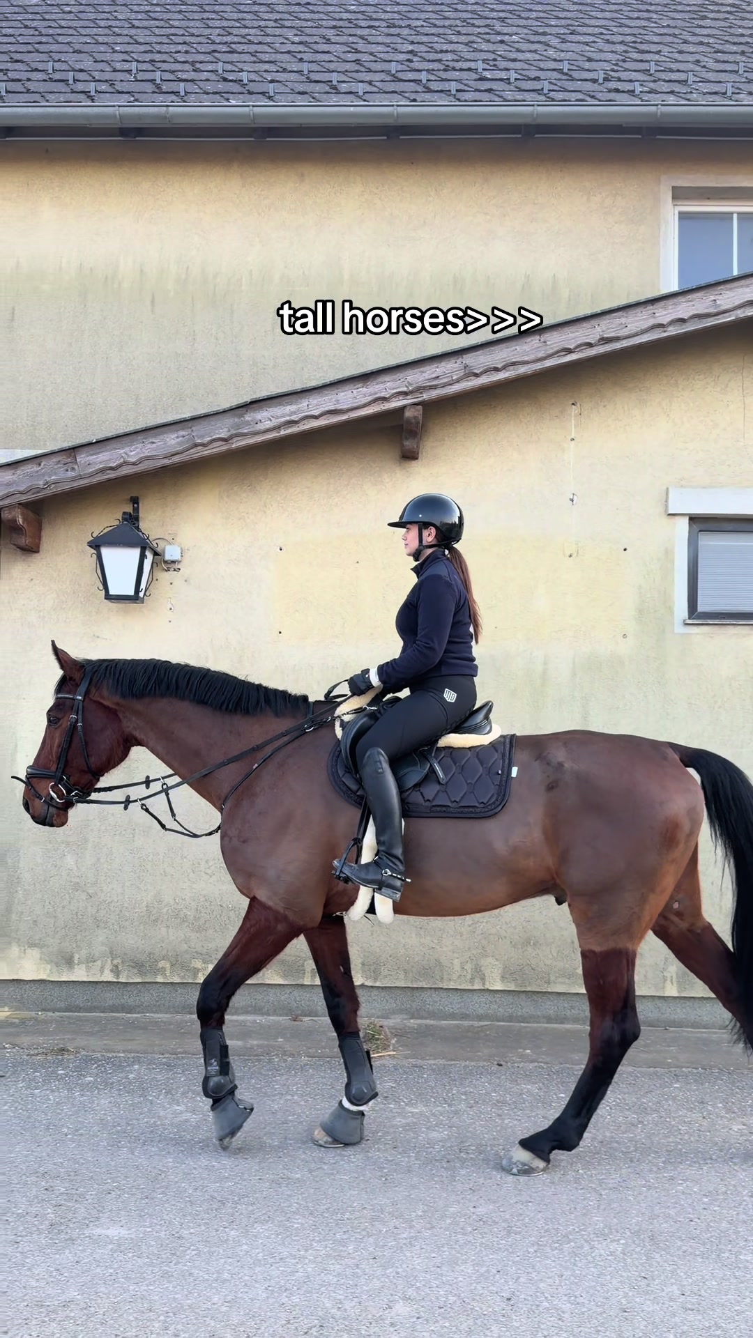 @sophietschi_x_equestrian