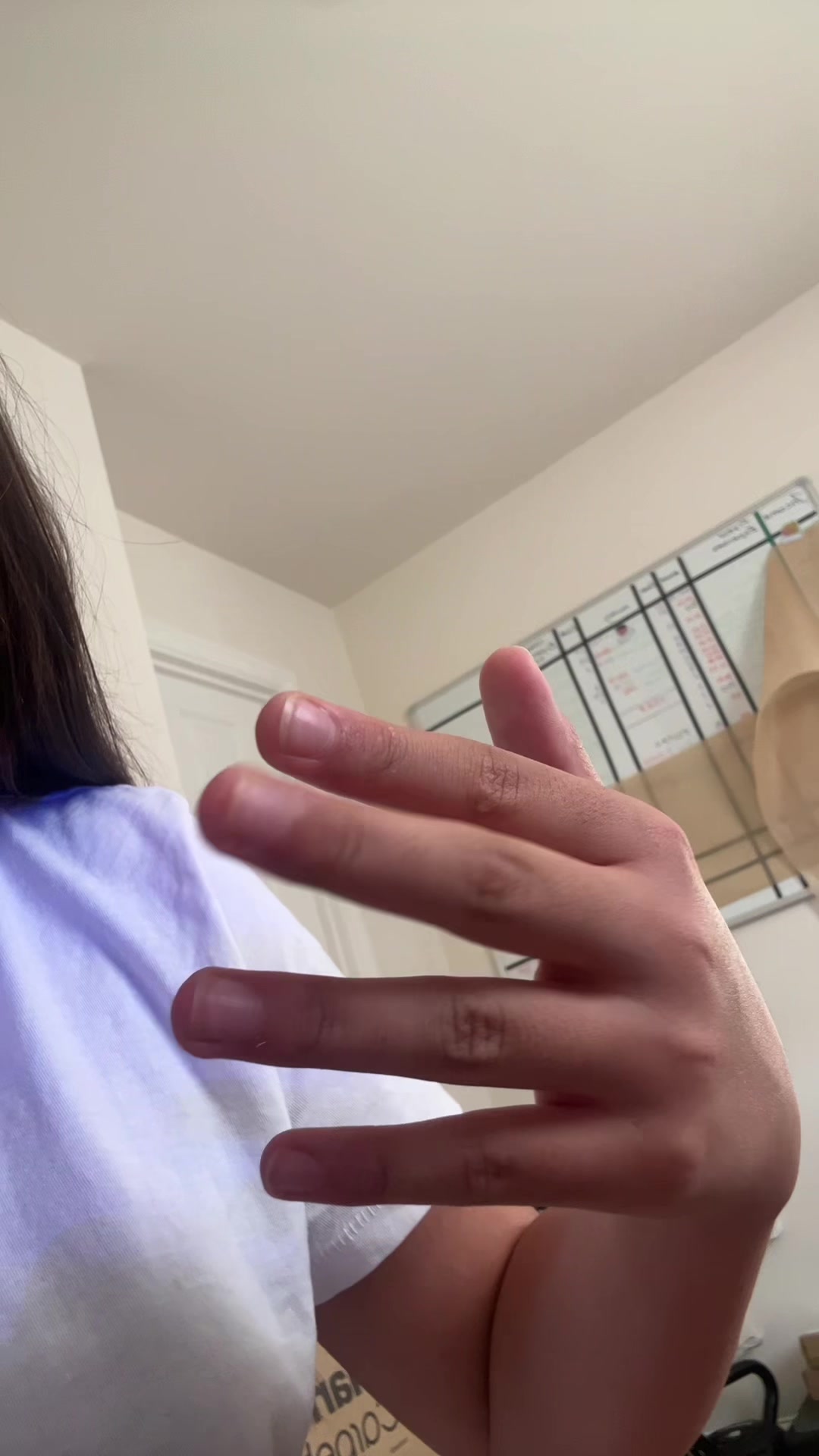 @tamarasspamxx