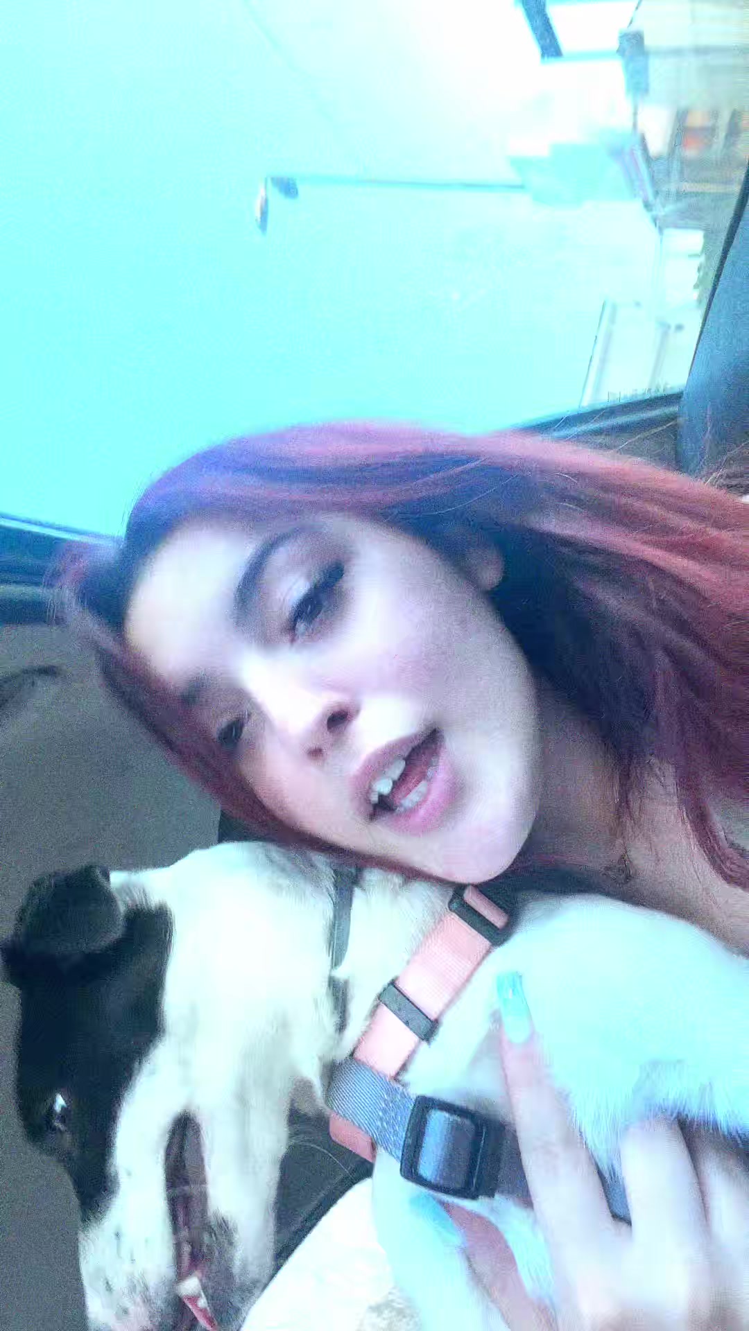 @Saraa🦁