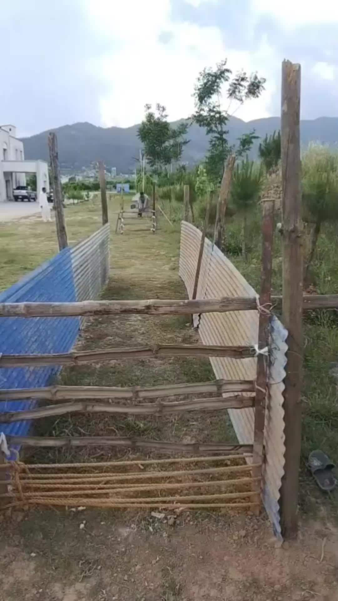 @MalinoisofPakistan