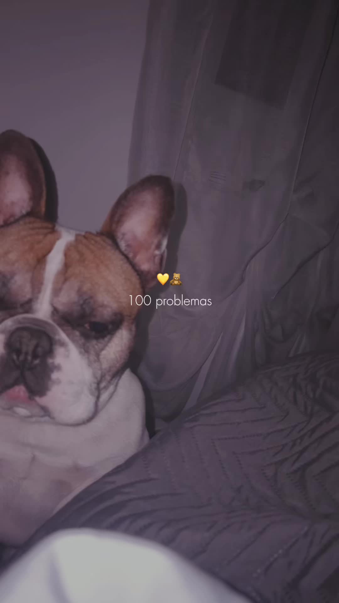 @Fabiola Parisi