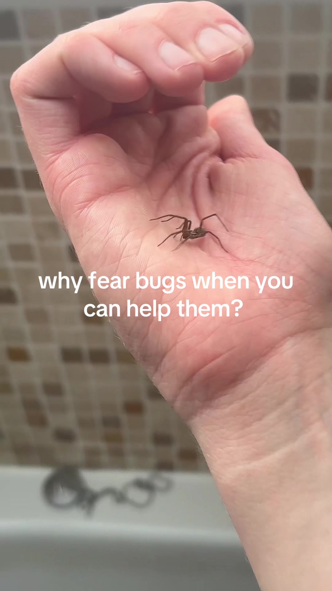 @Eloise