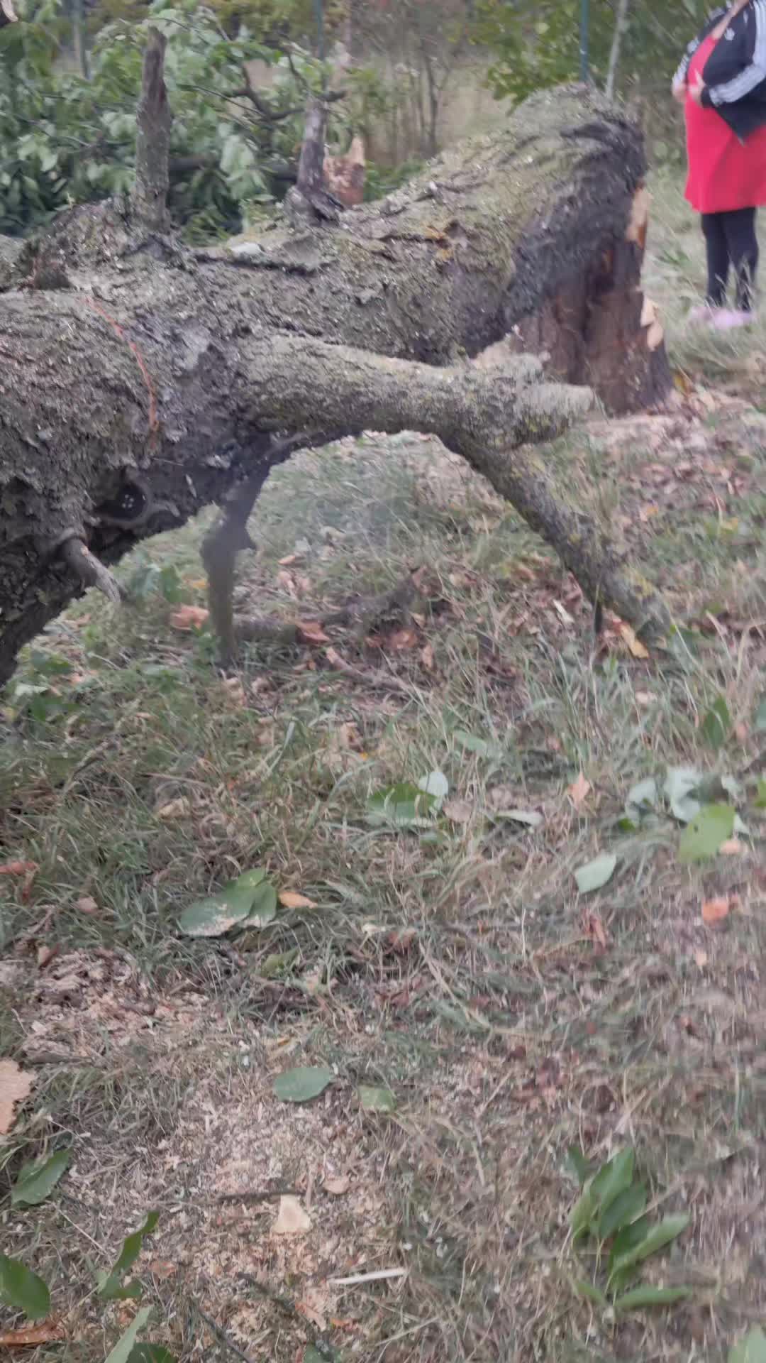 @Bogdan de la cluj