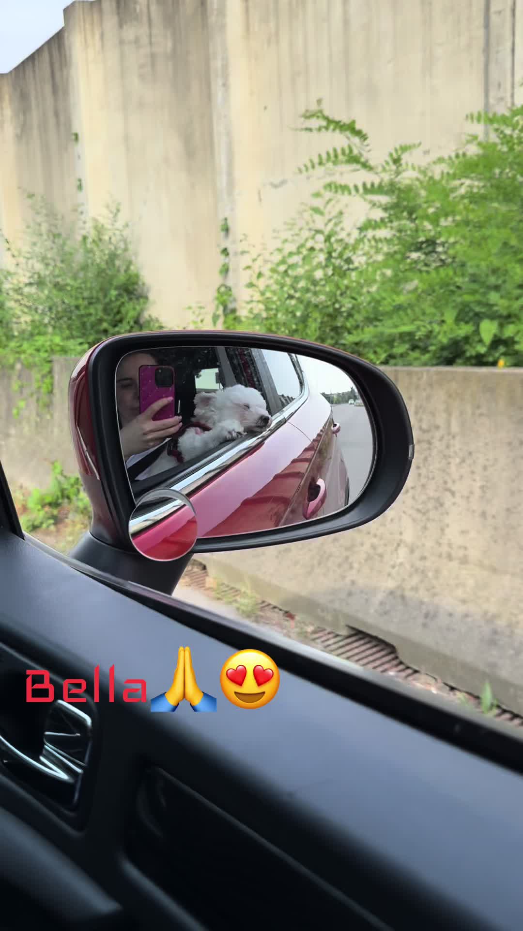 @Bichiu Andreea - Nicoleta