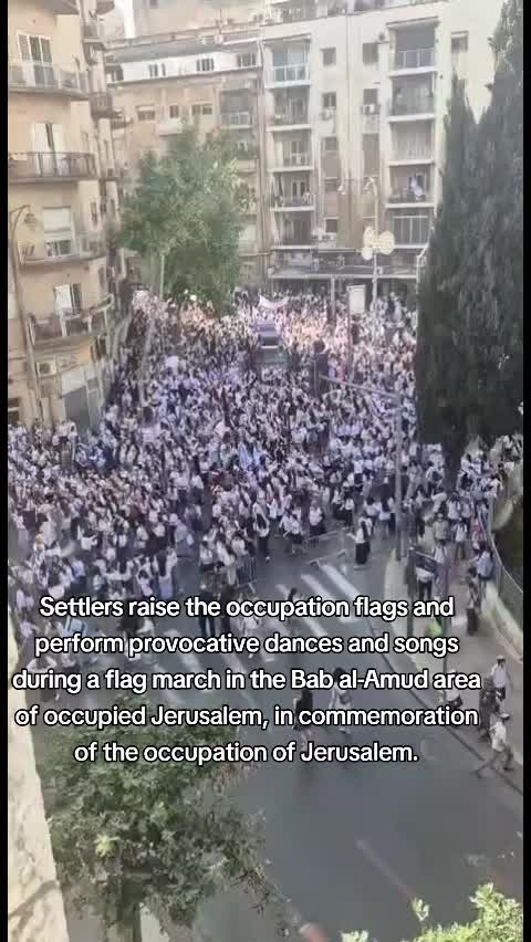 @Amina🇮🇪🇵🇸