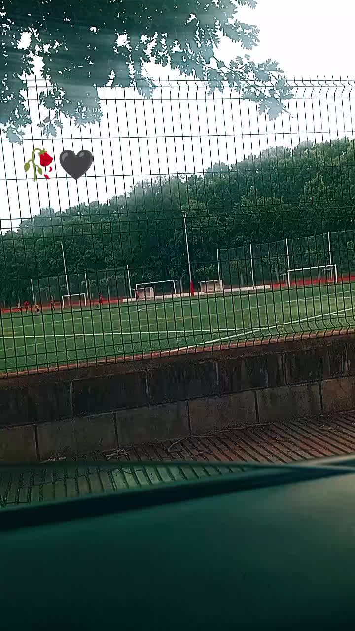 @rifeya