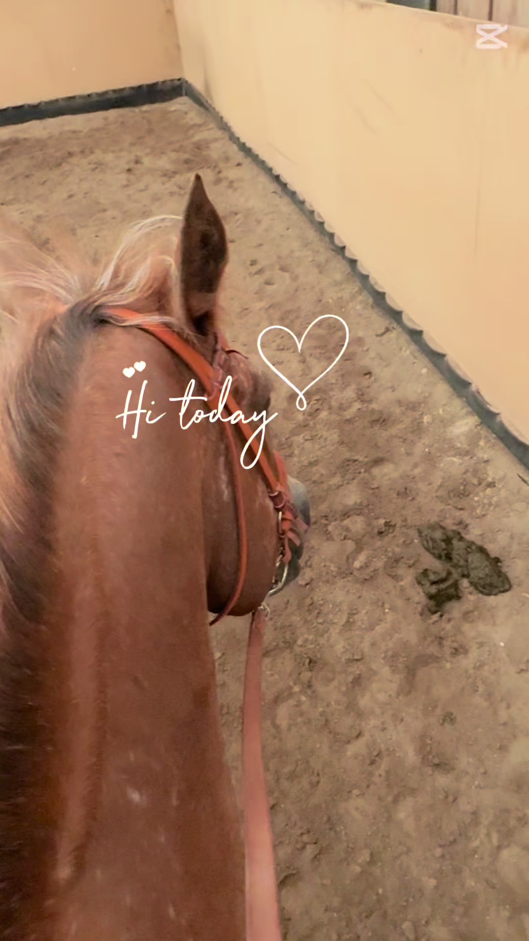 @𝐤𝐚𝐭𝐤𝐚 ♡ 𝐬𝐩𝐢𝐤𝐞