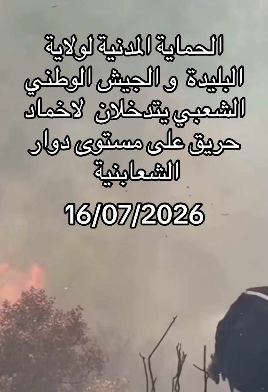@Elias الياس