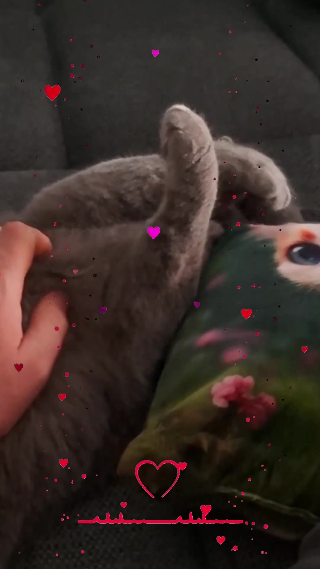 @paulaundpeach