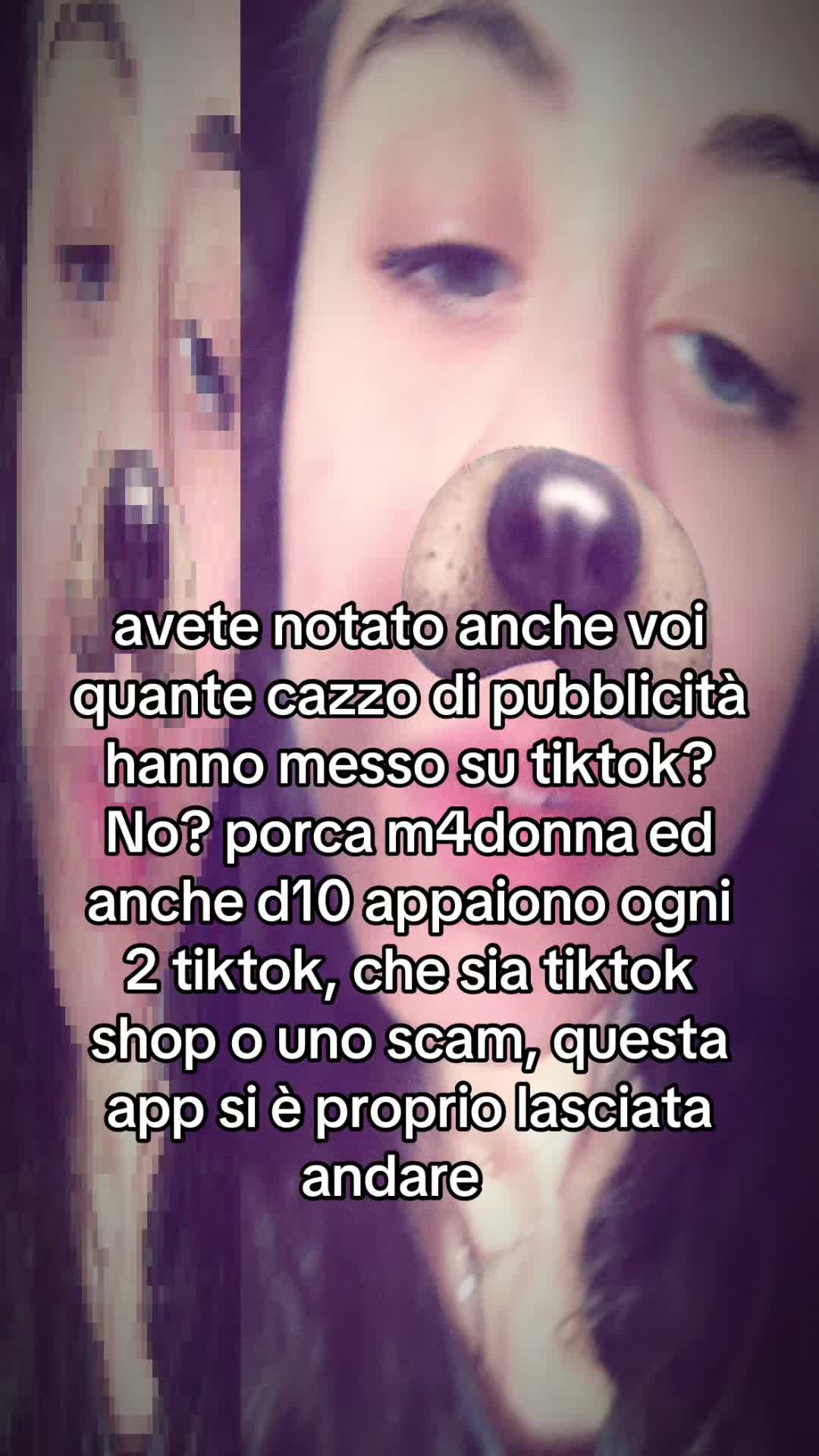 @angelcat 🪽