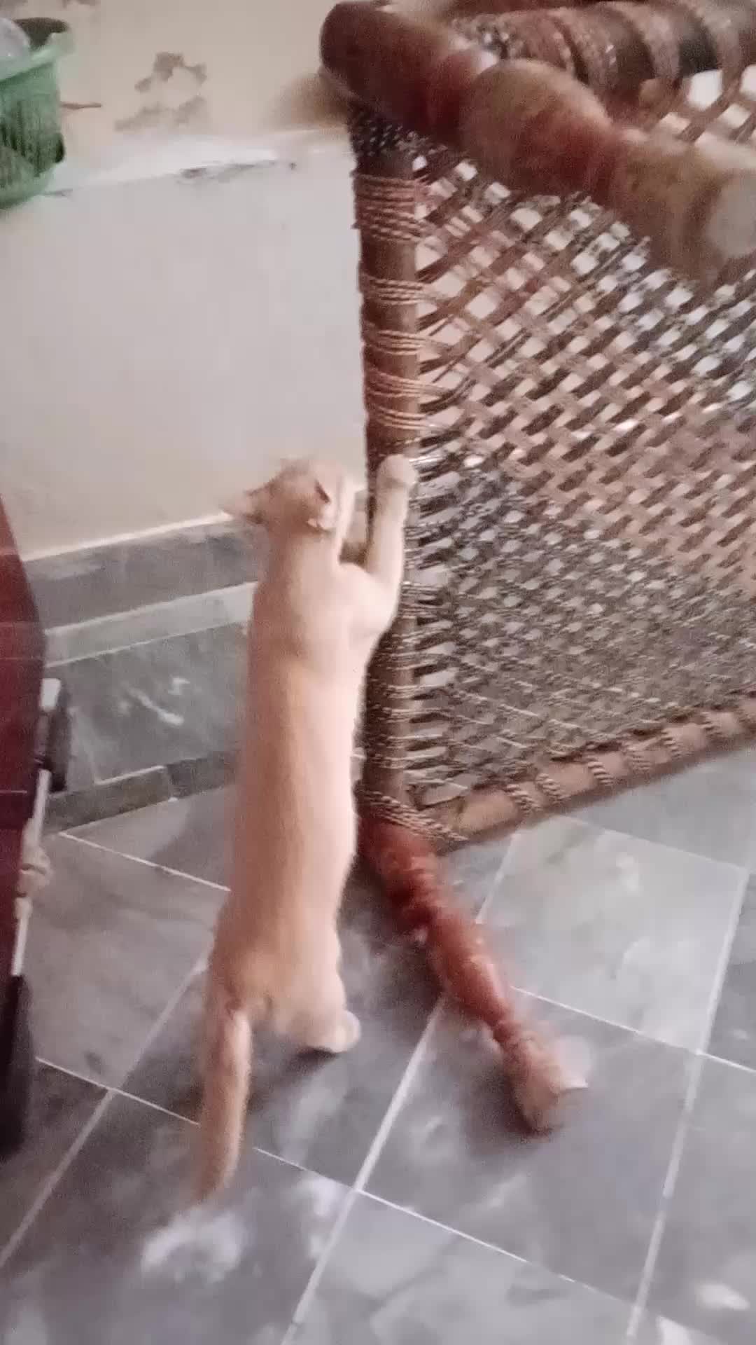 @cutecatlover8172