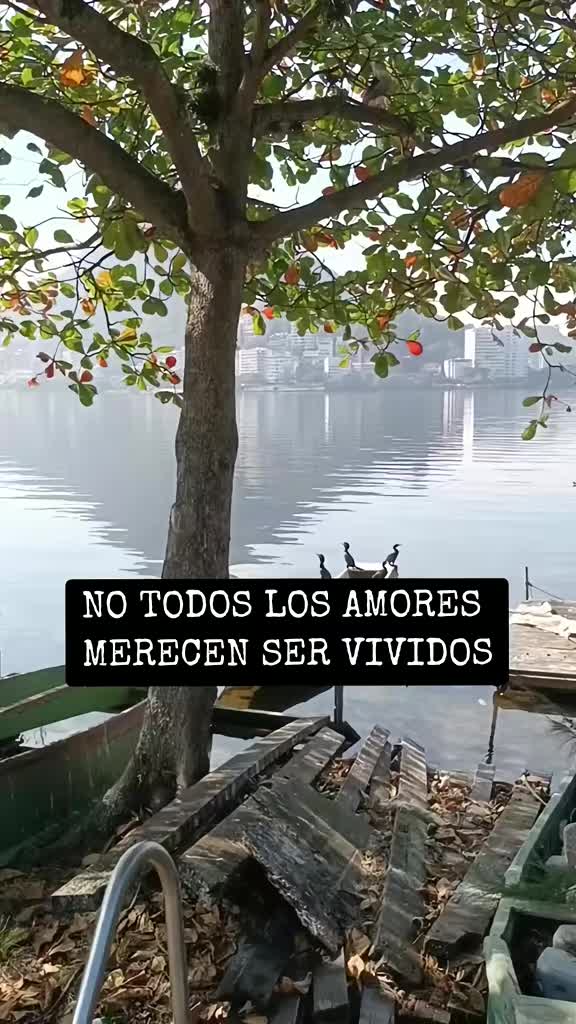 @JoseALuna