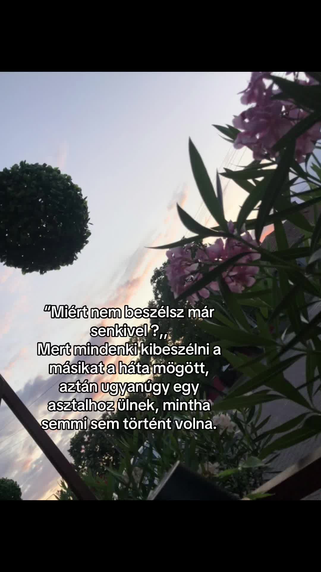 @🦋_.𝓥𝓲𝓴𝓲._🦋