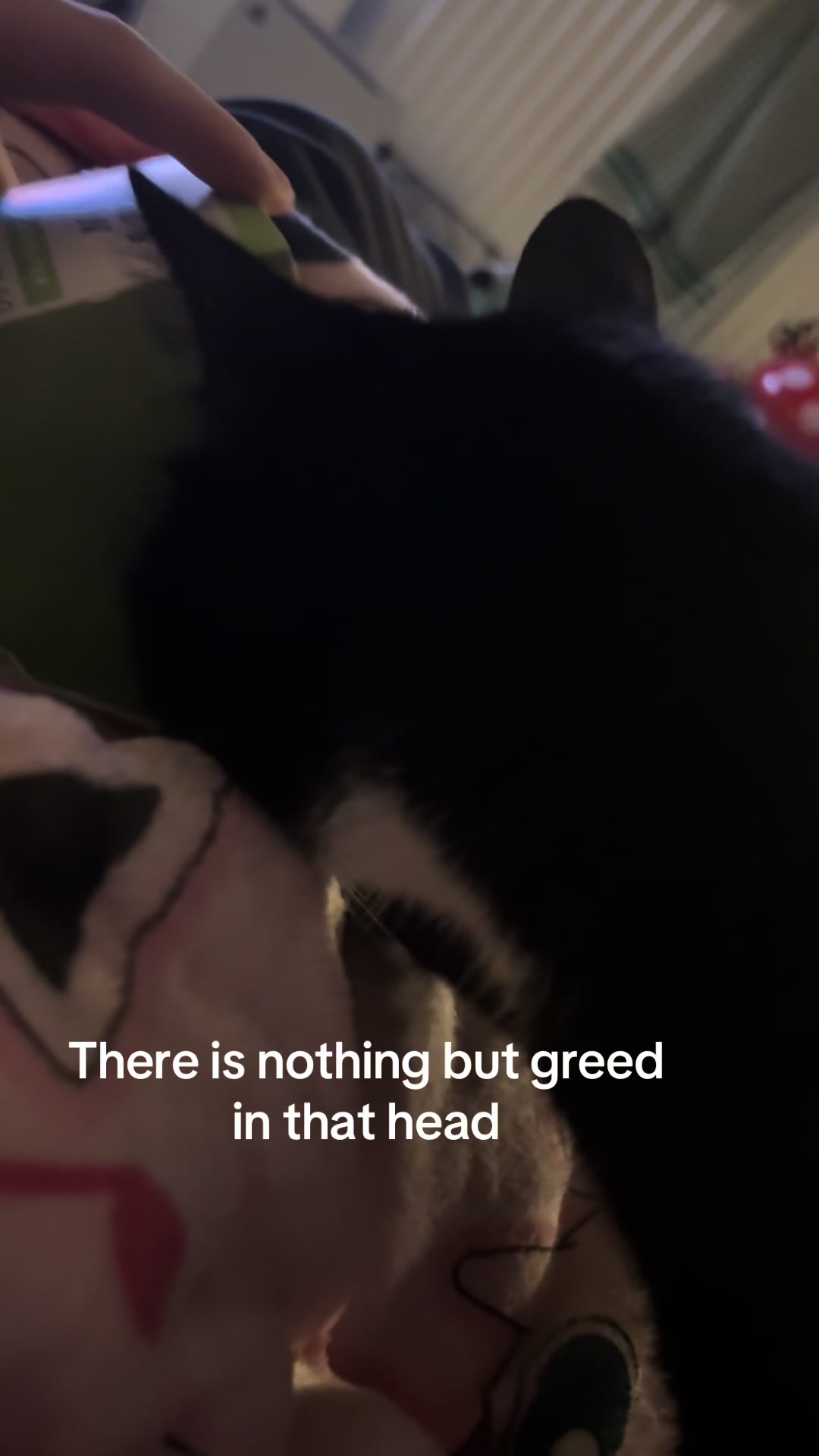 @icerinkrattie