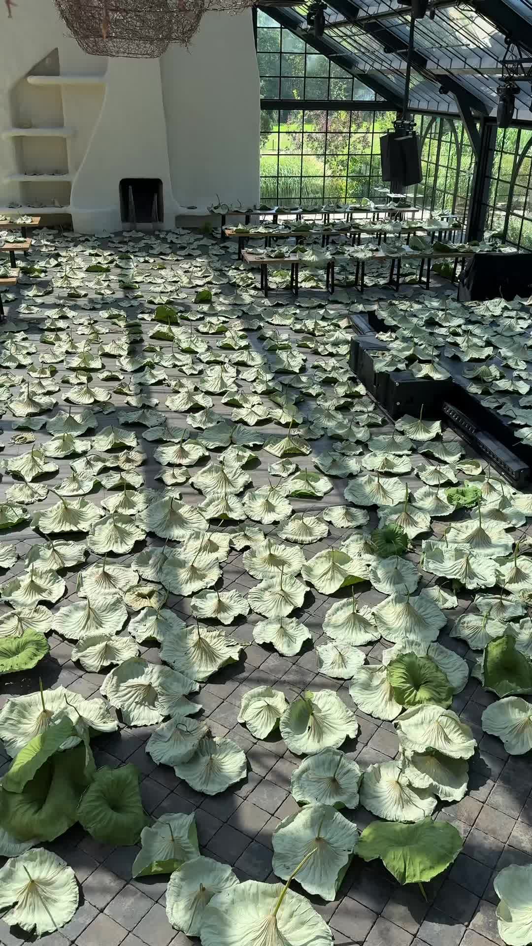 @Floraria Iris