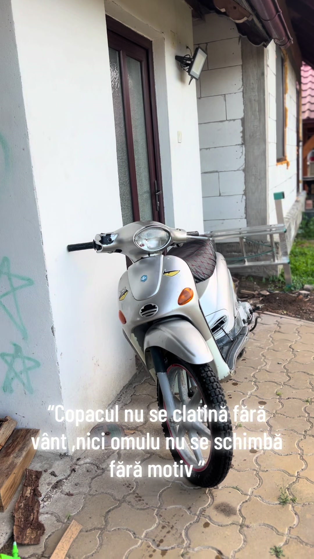@ȘTEFAN.ncl 🌲