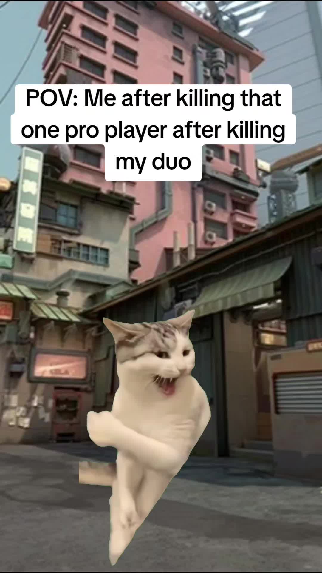 @Scoobydouby