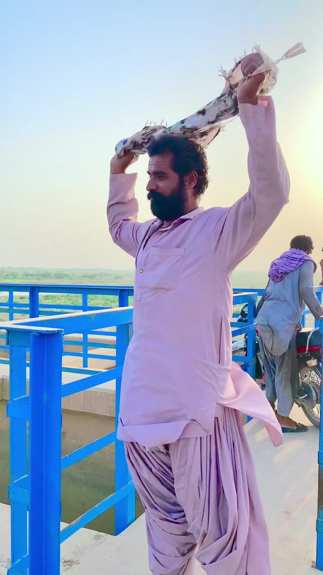 @Majeed King Of Taunsa❣️