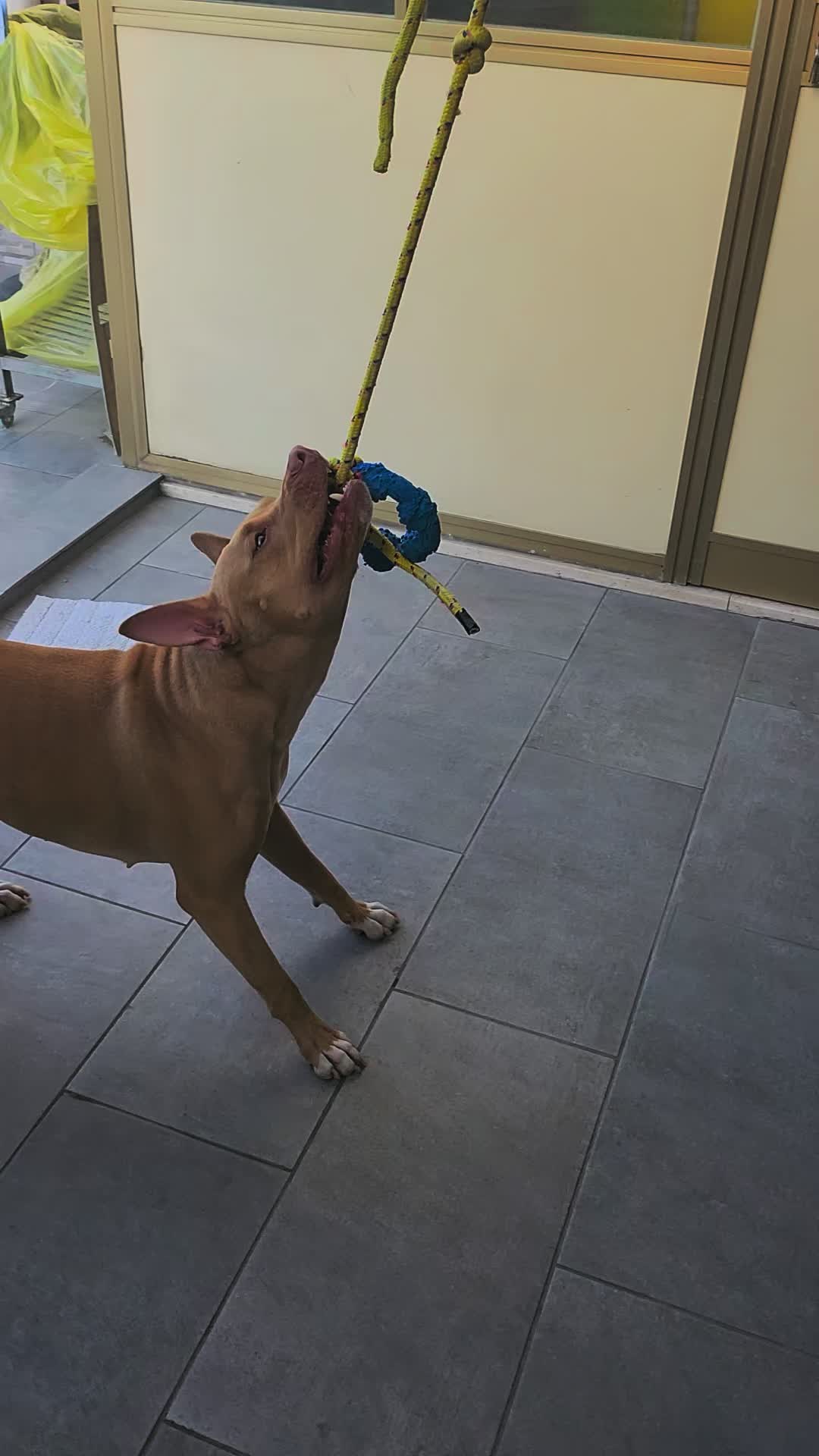 @Roberto La sorda