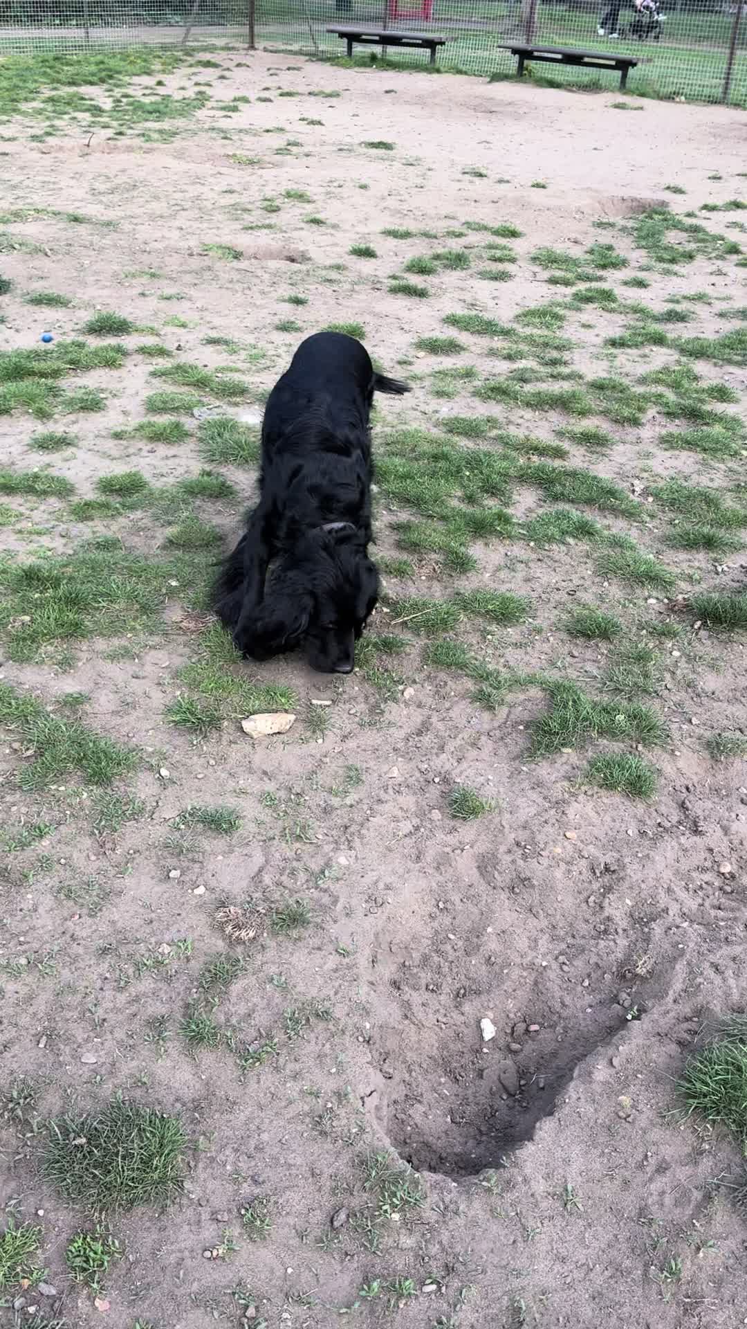 @Tswoofwoof