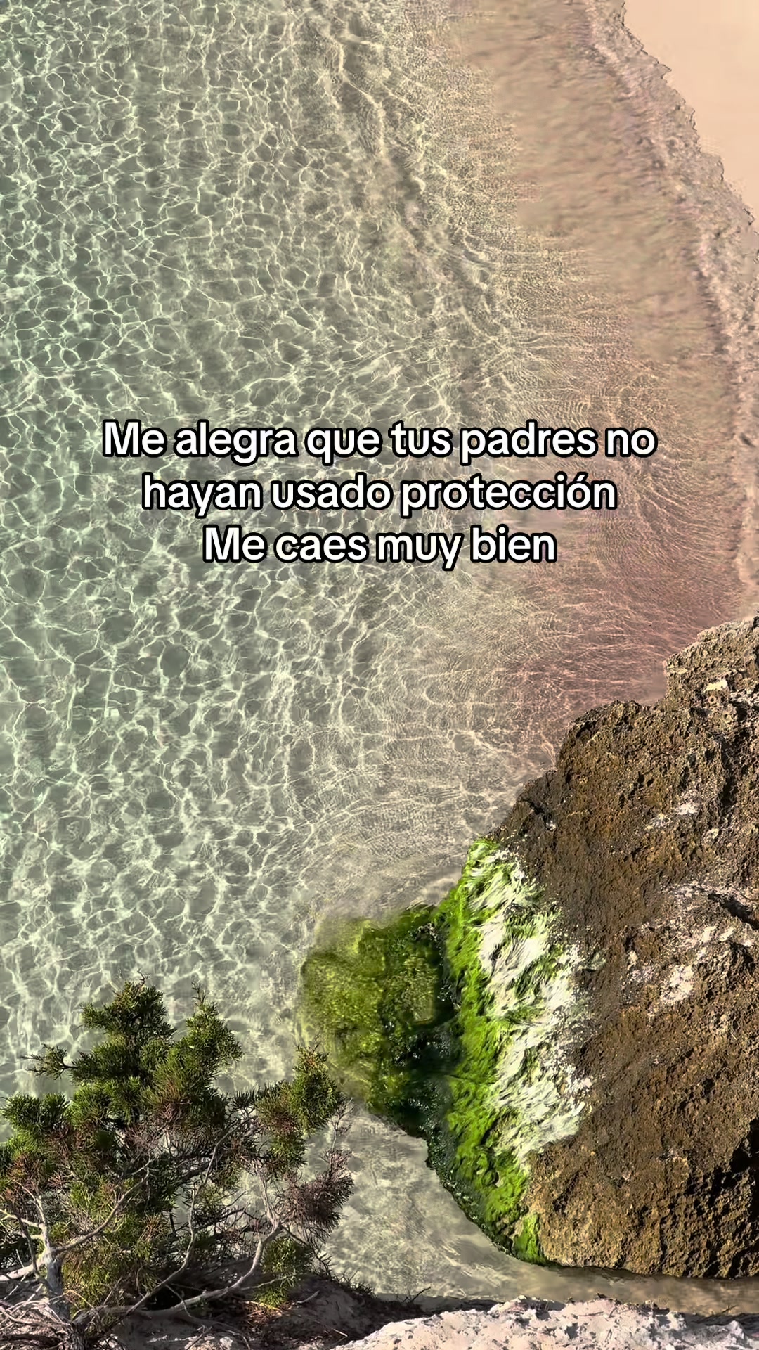 @Sergi Manzano