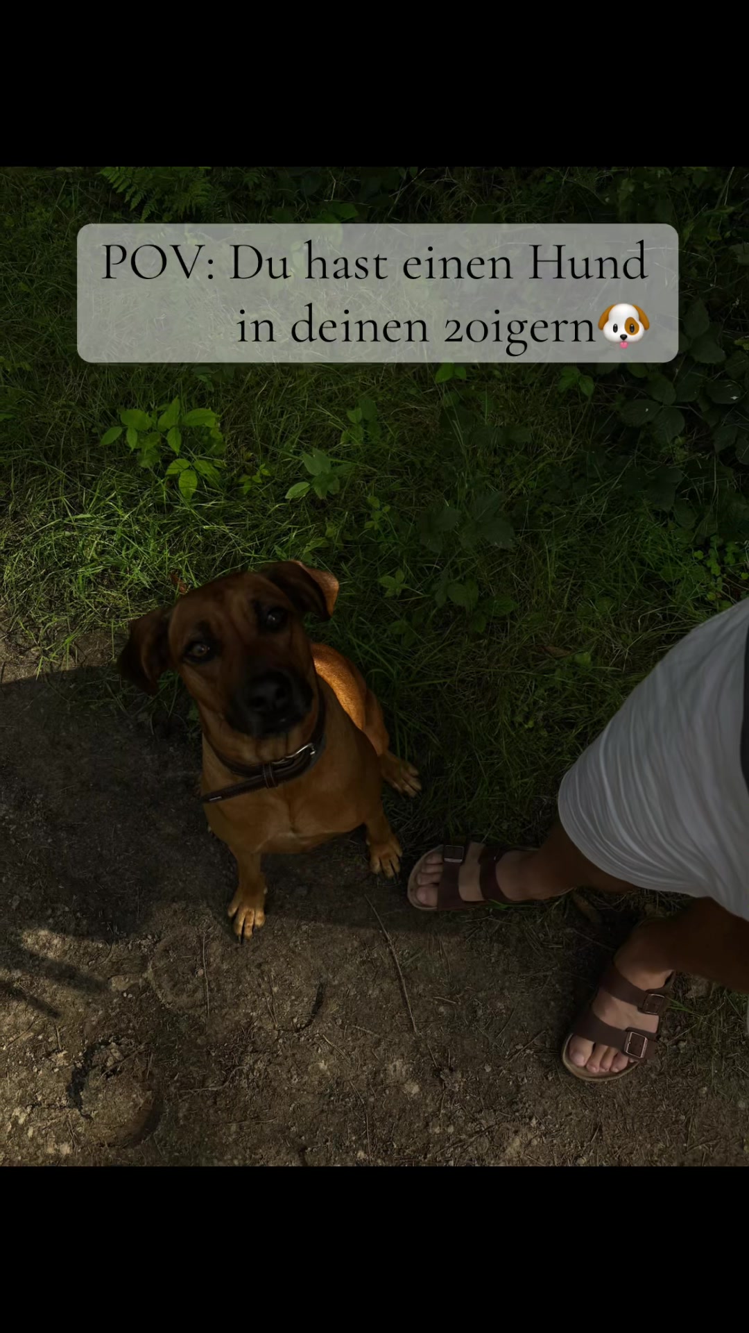 @leonaxe