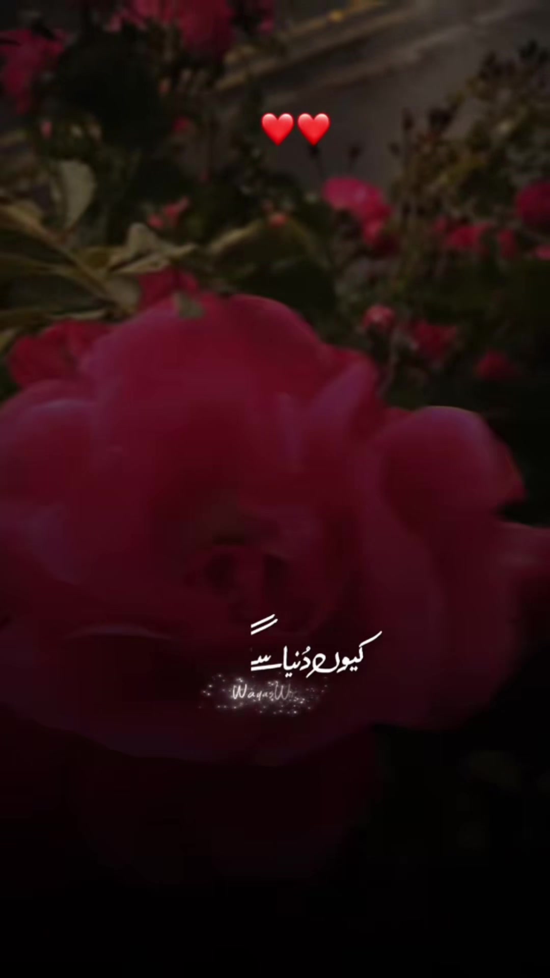 @❤️❤️Dua Noor❤️❤️