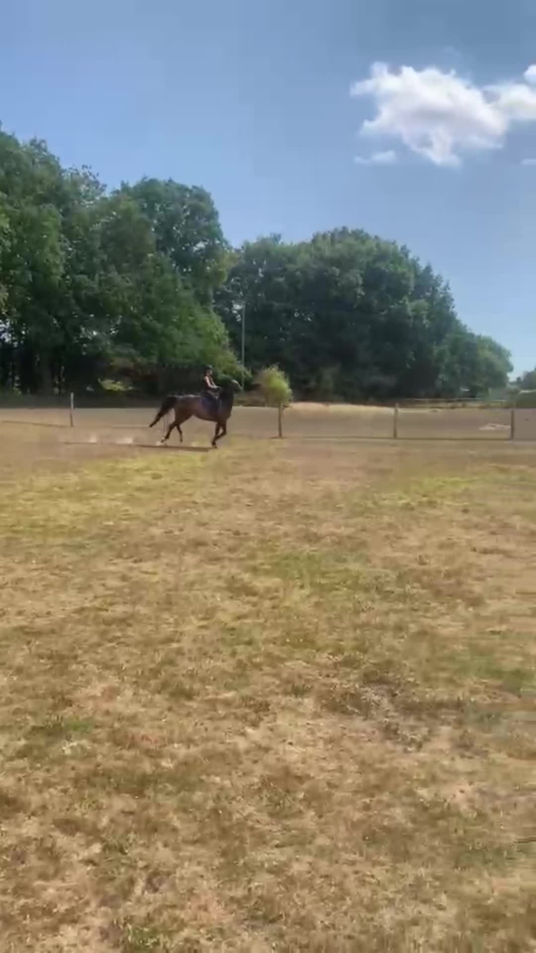@Kitty equestrian.