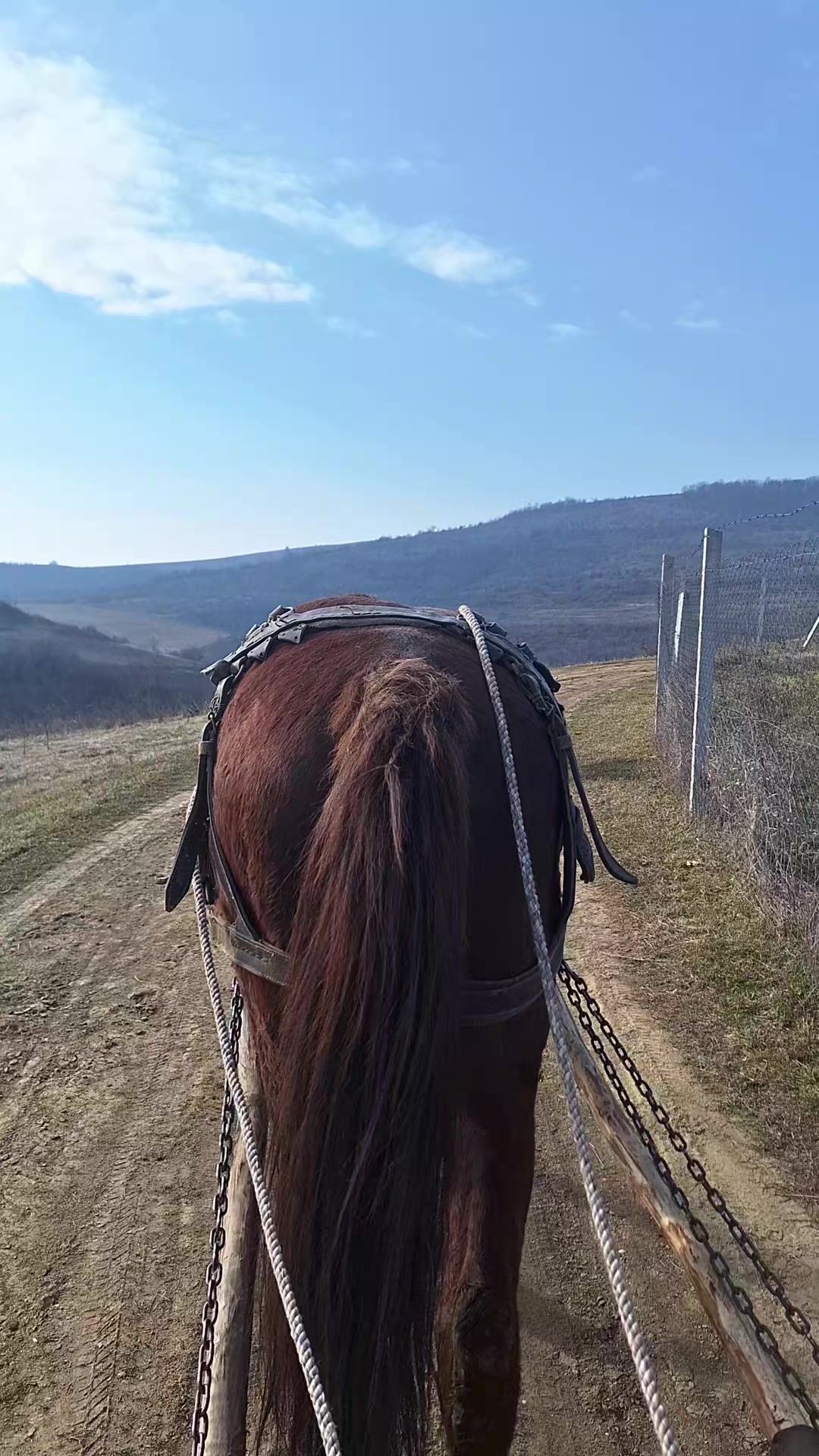 @𝚁ă𝚣𝚟𝚊𝚗❤️