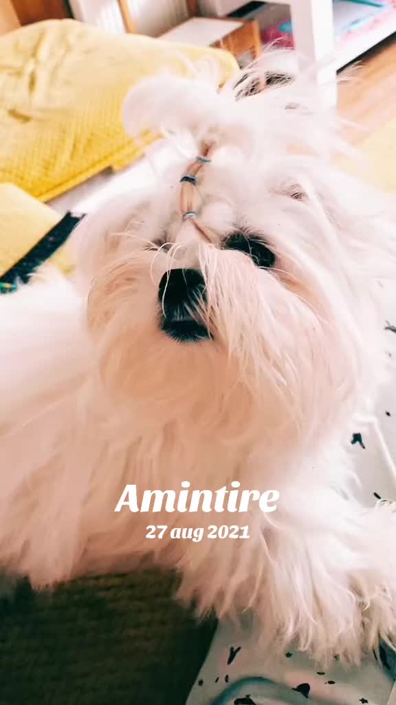 @Cosmina