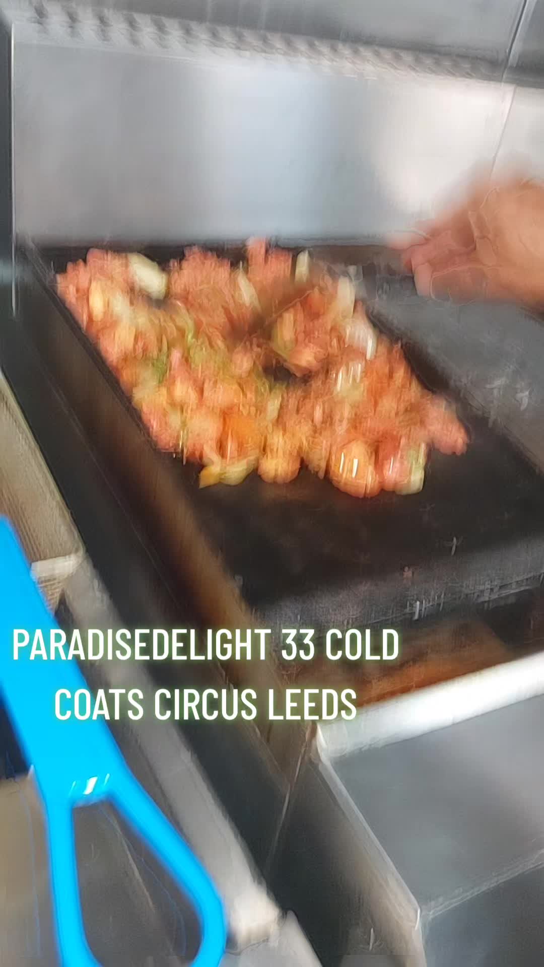 @Paradise Delight