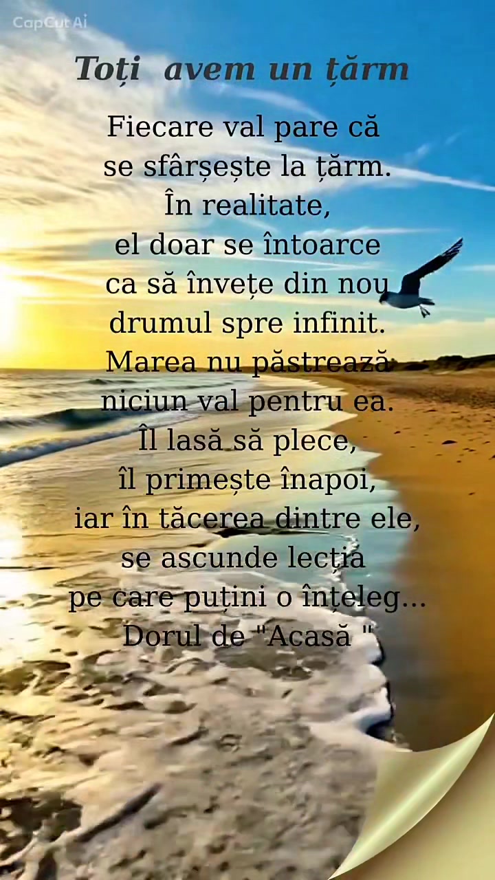 @Costel
