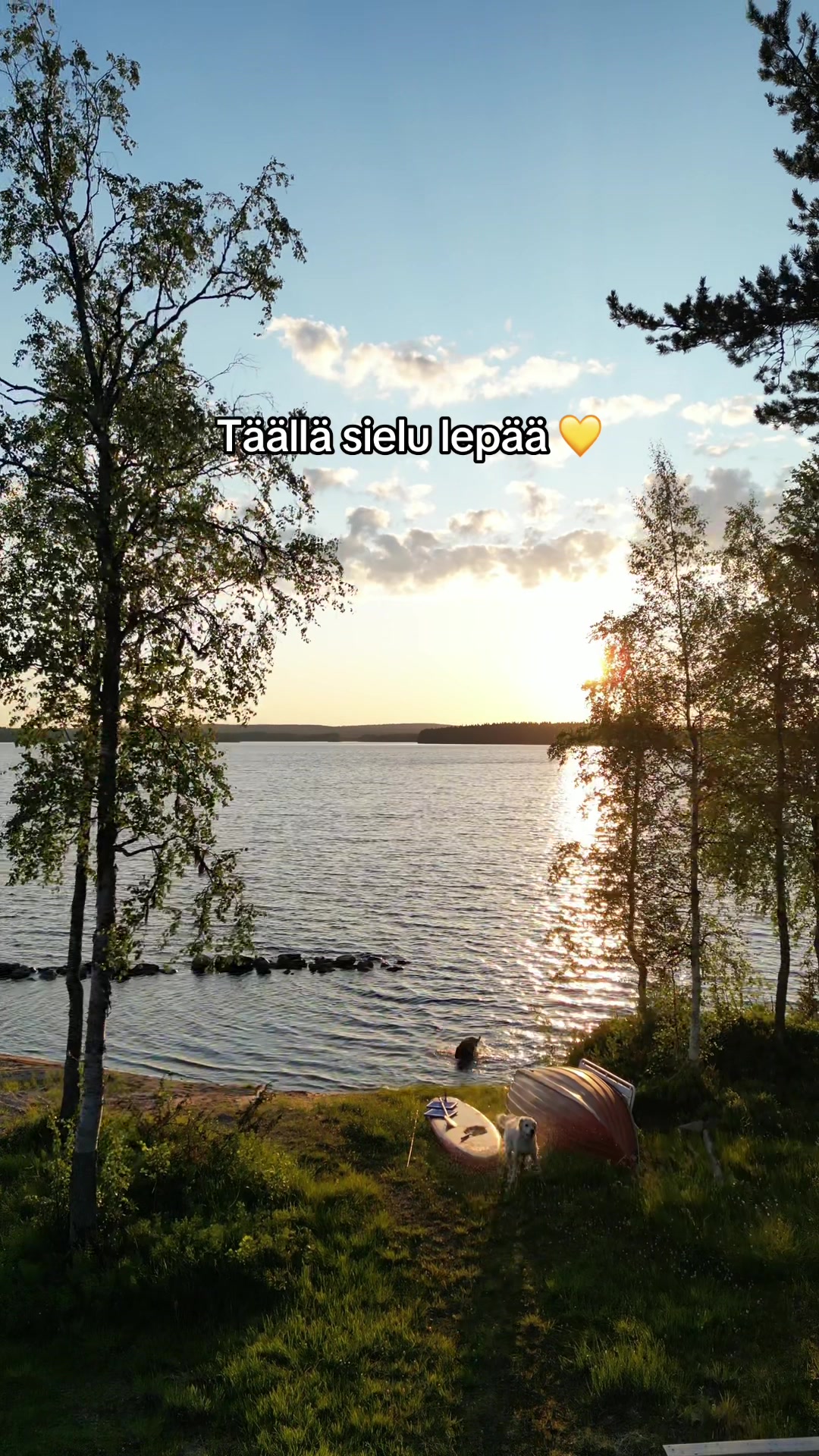 @Rosa Ruuskanen