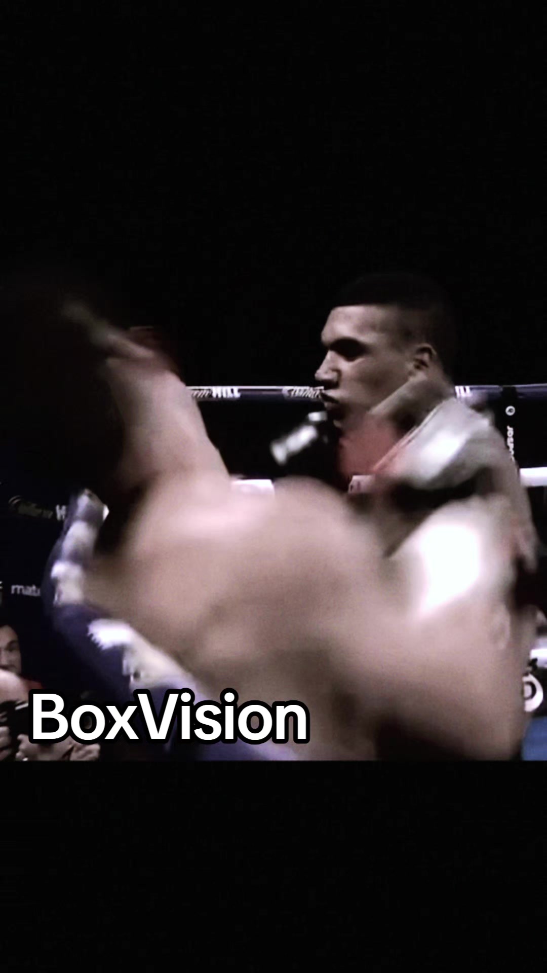 @BoxVision