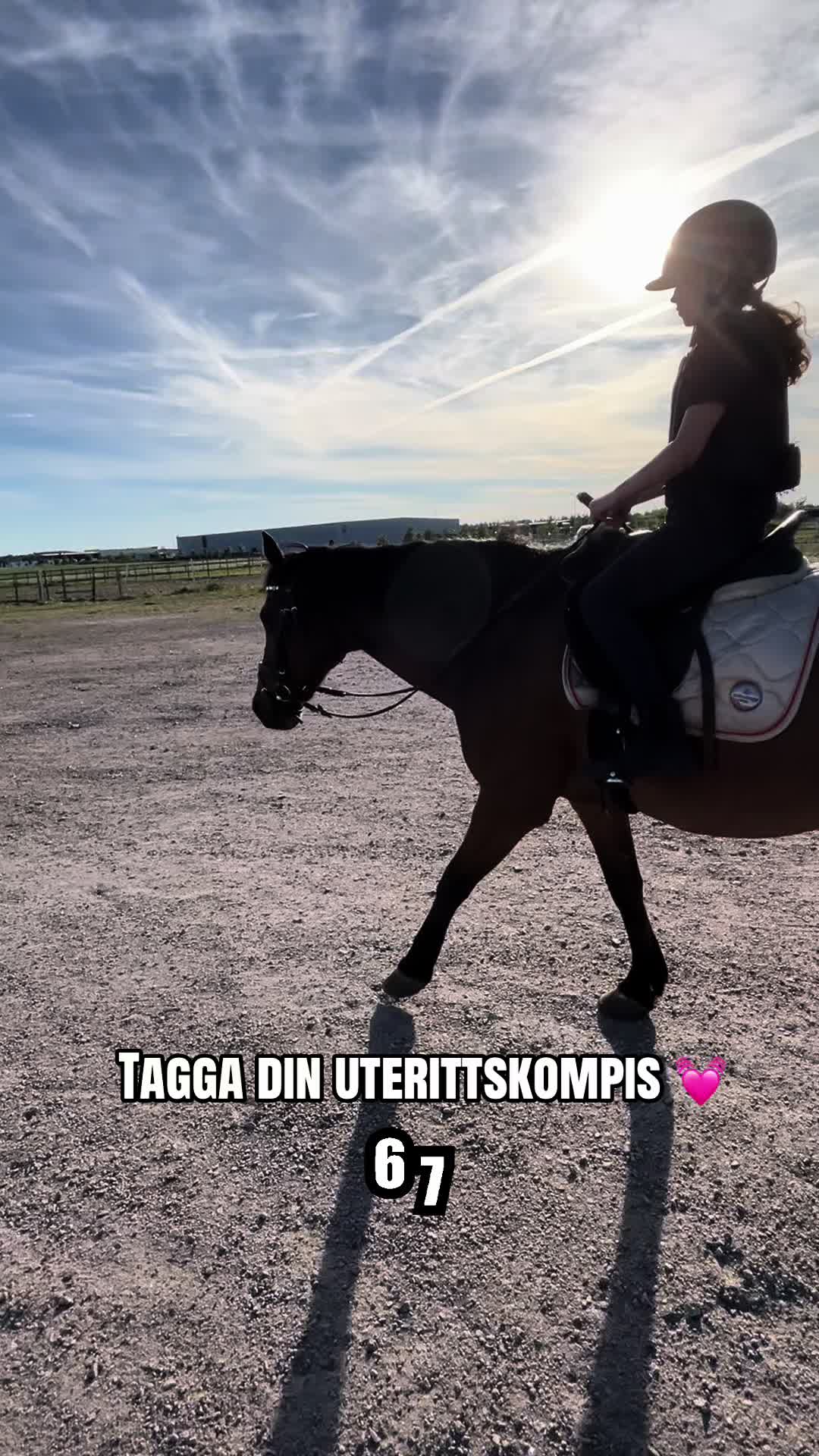 @skritt.trav.galopp