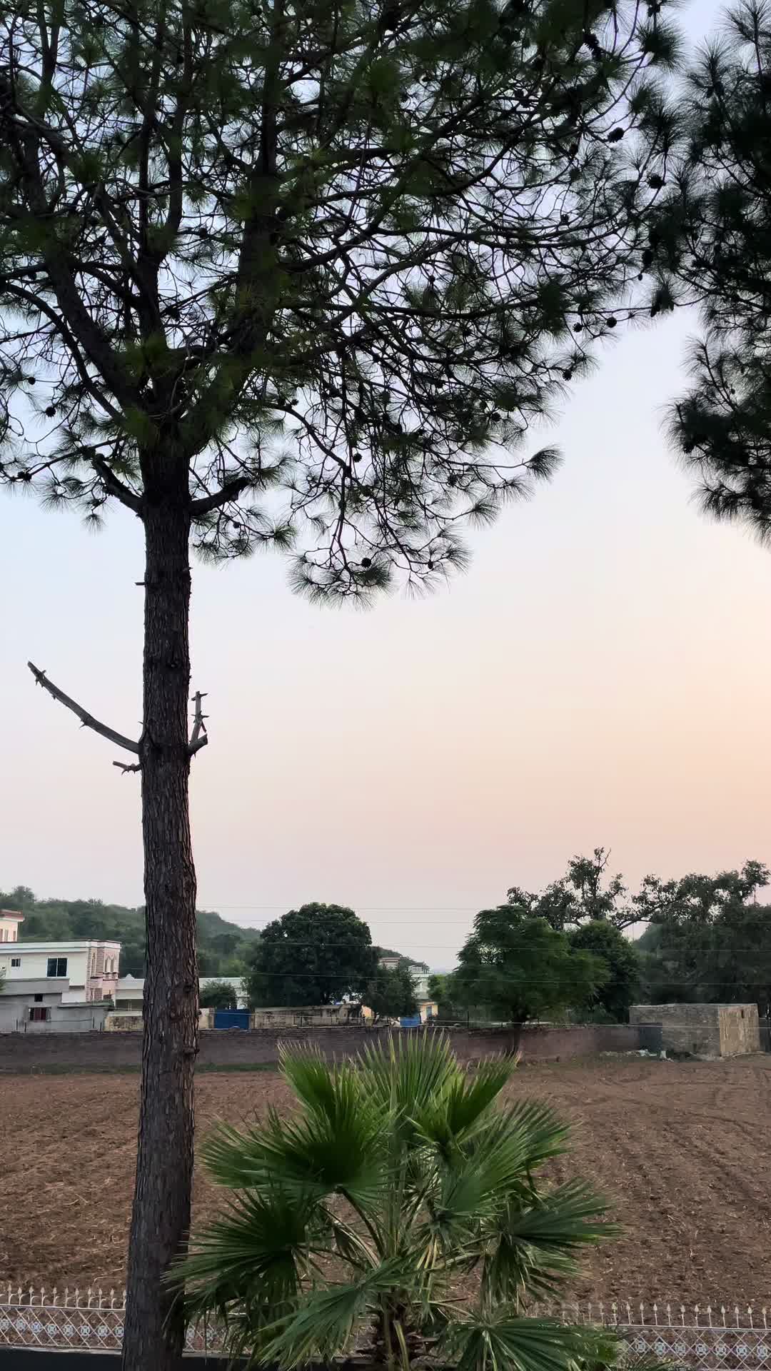 @Z R4JA