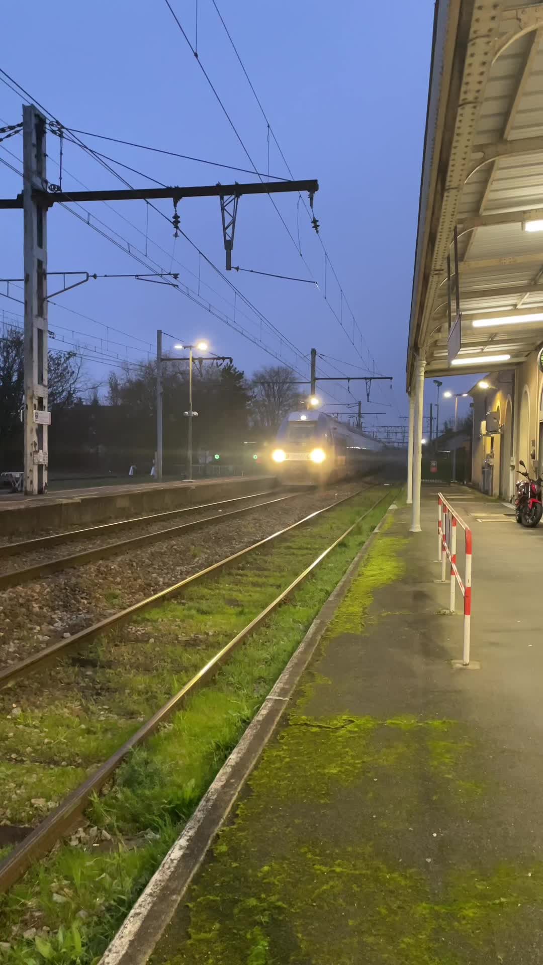 @Max 🚂