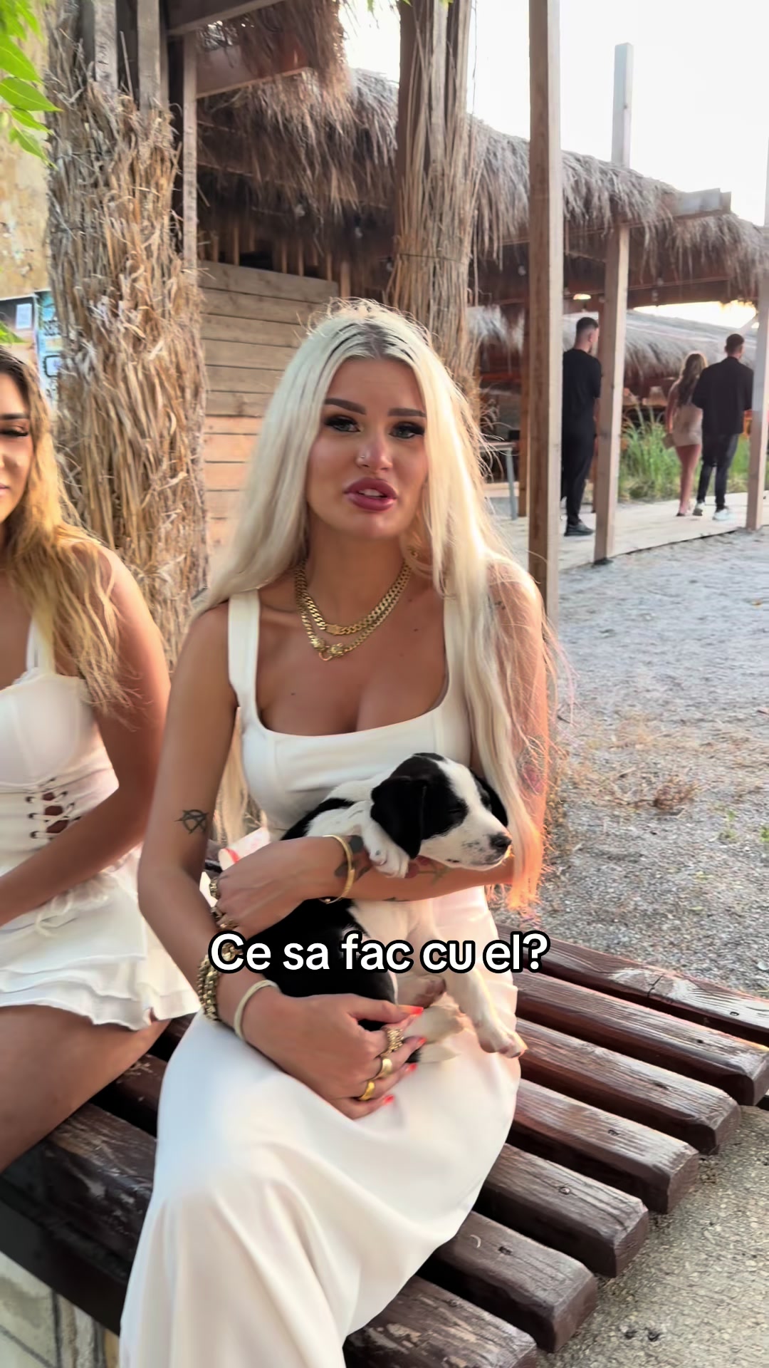 @Andreea Bld